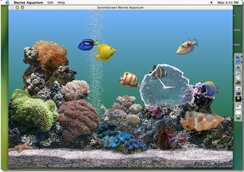 Free Fish Aquarium Screensaver For Mac